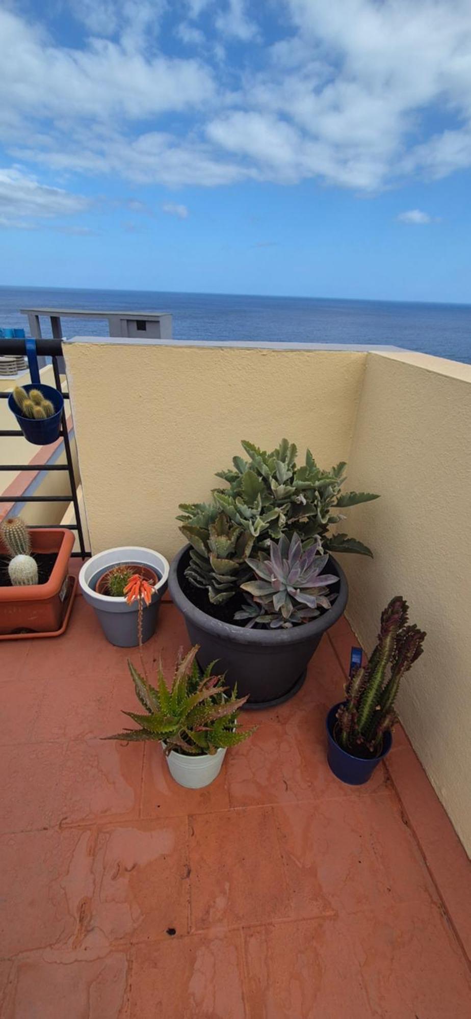 Meerblick Caletillas Candelaria Bagian luar foto